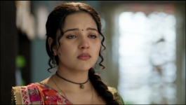 Vasudha - 12th November 2025